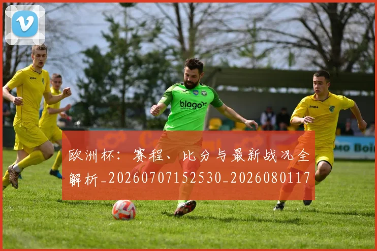欧洲杯:赛程、比分与最新战况全解析_20260707152530_20260801170242