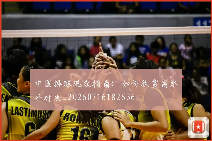 中国排球观众指南:如何欣赏高水平对决_20260716182636