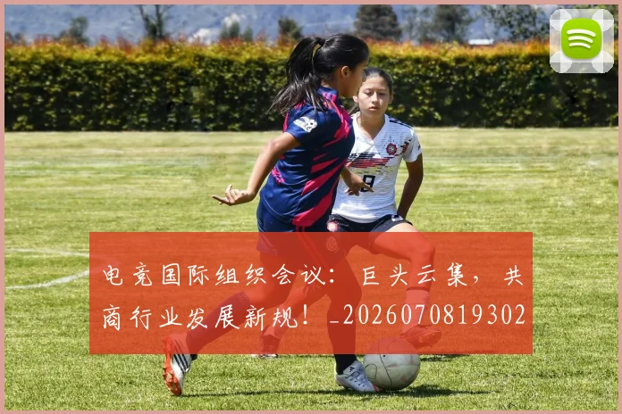 电竞国际组织会议:巨头云集,共商行业发展新规!_20260708193024